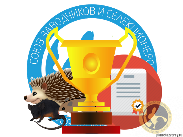 чемпион породы