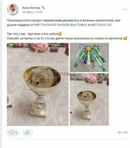 выставка животных