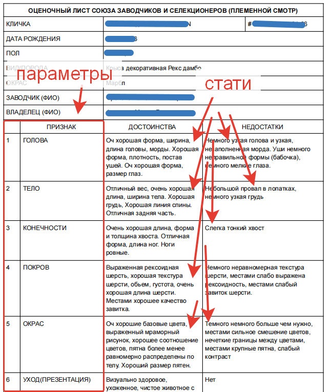оценочный лист